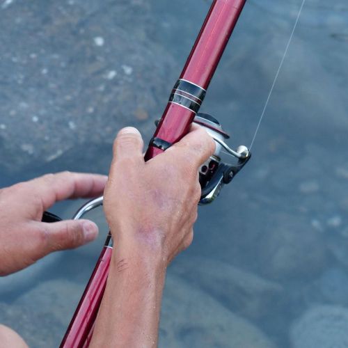 Angler lieben dieses Revier, weil es eine große Vielfalt an Fischarten bietet